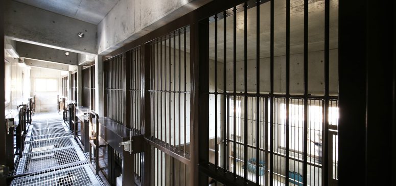 のんほいパーク(豊橋総合動植物公園) ライオン舎